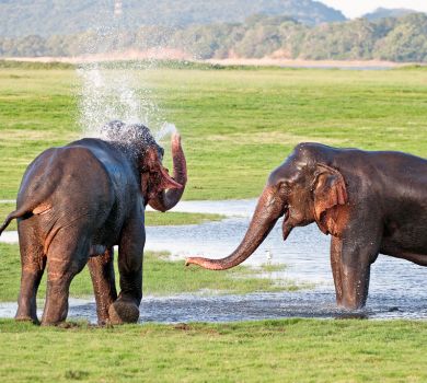 day trips sl gallery